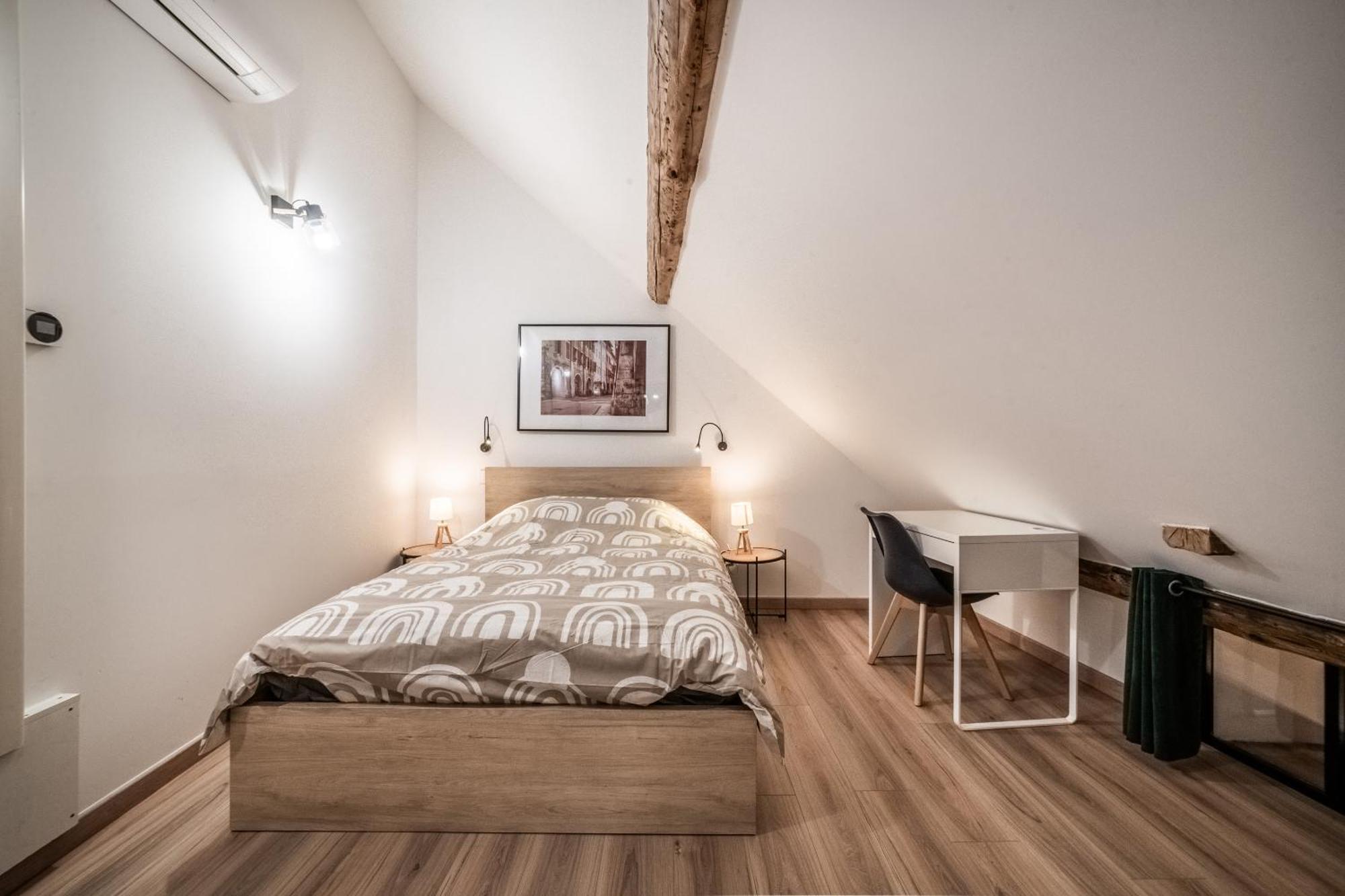 Coeur Vieille Ville Annecy Eksteriør billede